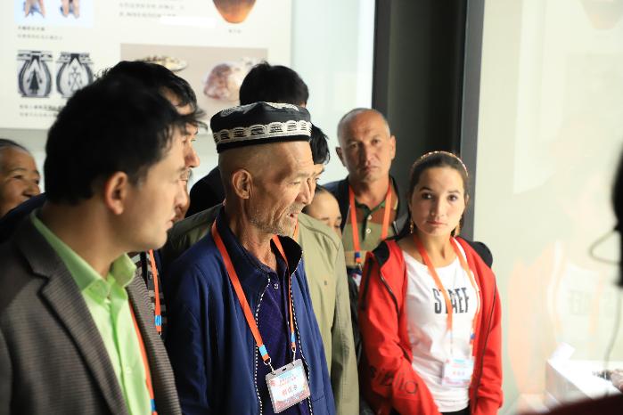 亲戚们参观自治区博物馆 亲戚们参观自治区博物馆