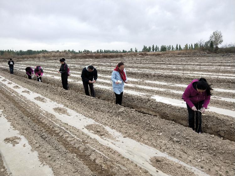 学院结亲干部教师帮村民干农活 学院结亲干部教师帮村民干农活